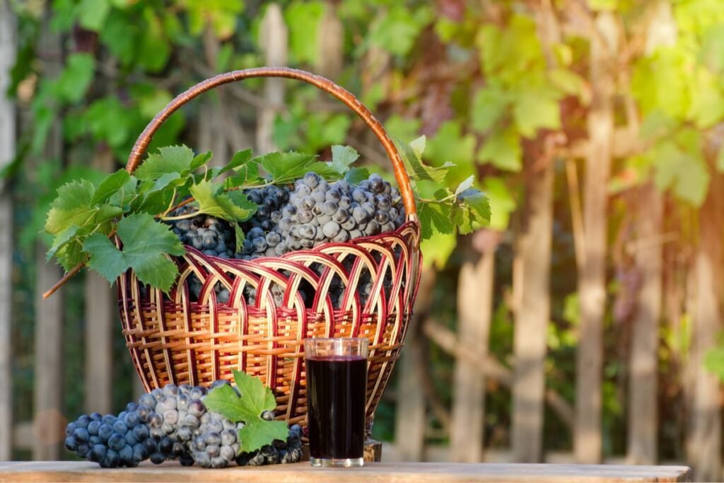 Vynuogių sultis rekomenduojama naudoti saikingai