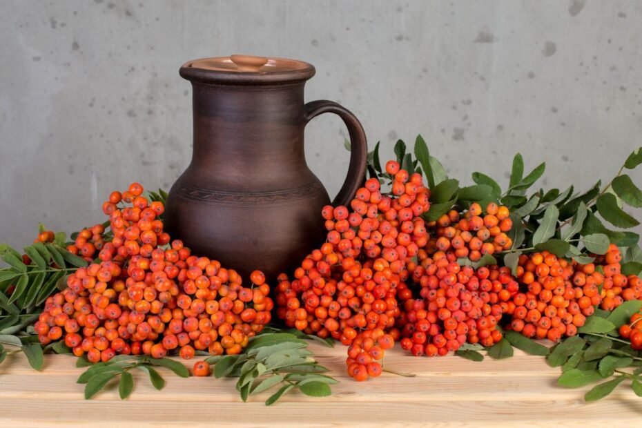 Šermukšnių sultys vitamino C kiekiu kelis kartus lenkia citriną! Tai – pirmoji pagalba peršalus ir ne tik